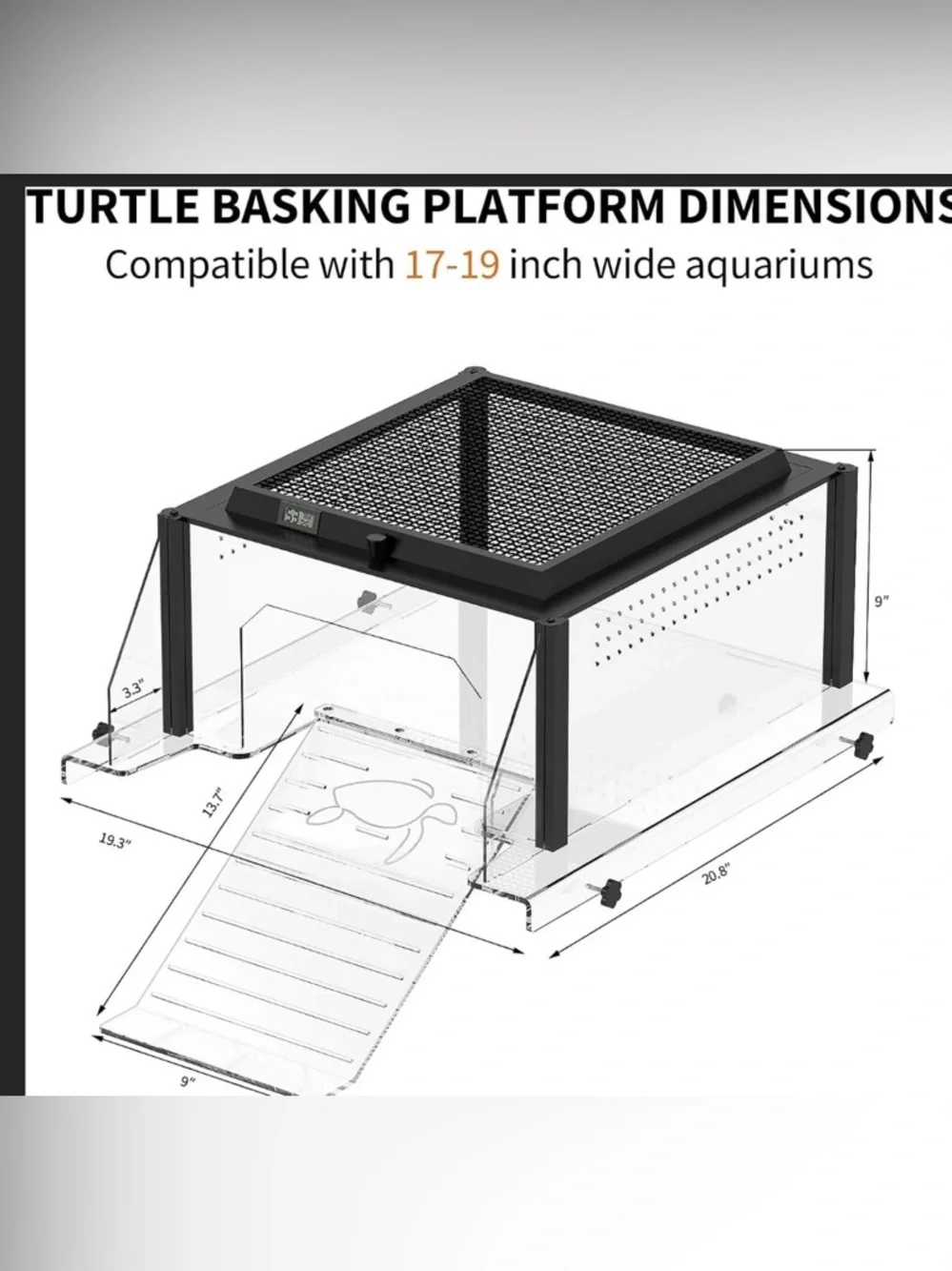 N/A upgraded turtle